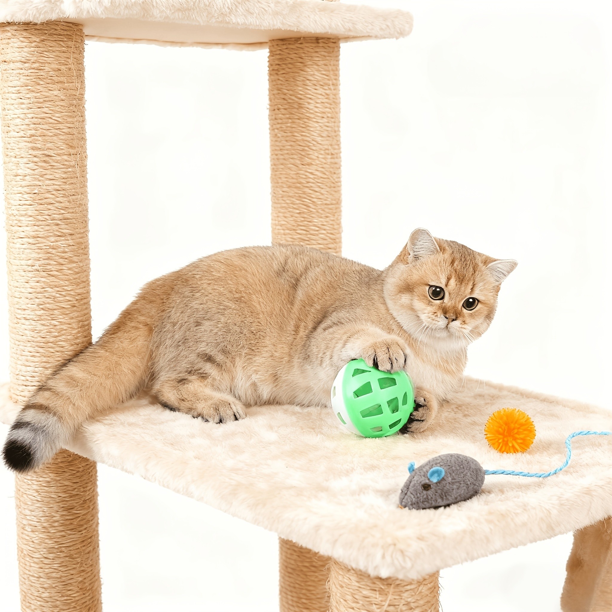SUNGDOGIN 13pcs Cat Toys Kit with Rainbow Tunnel