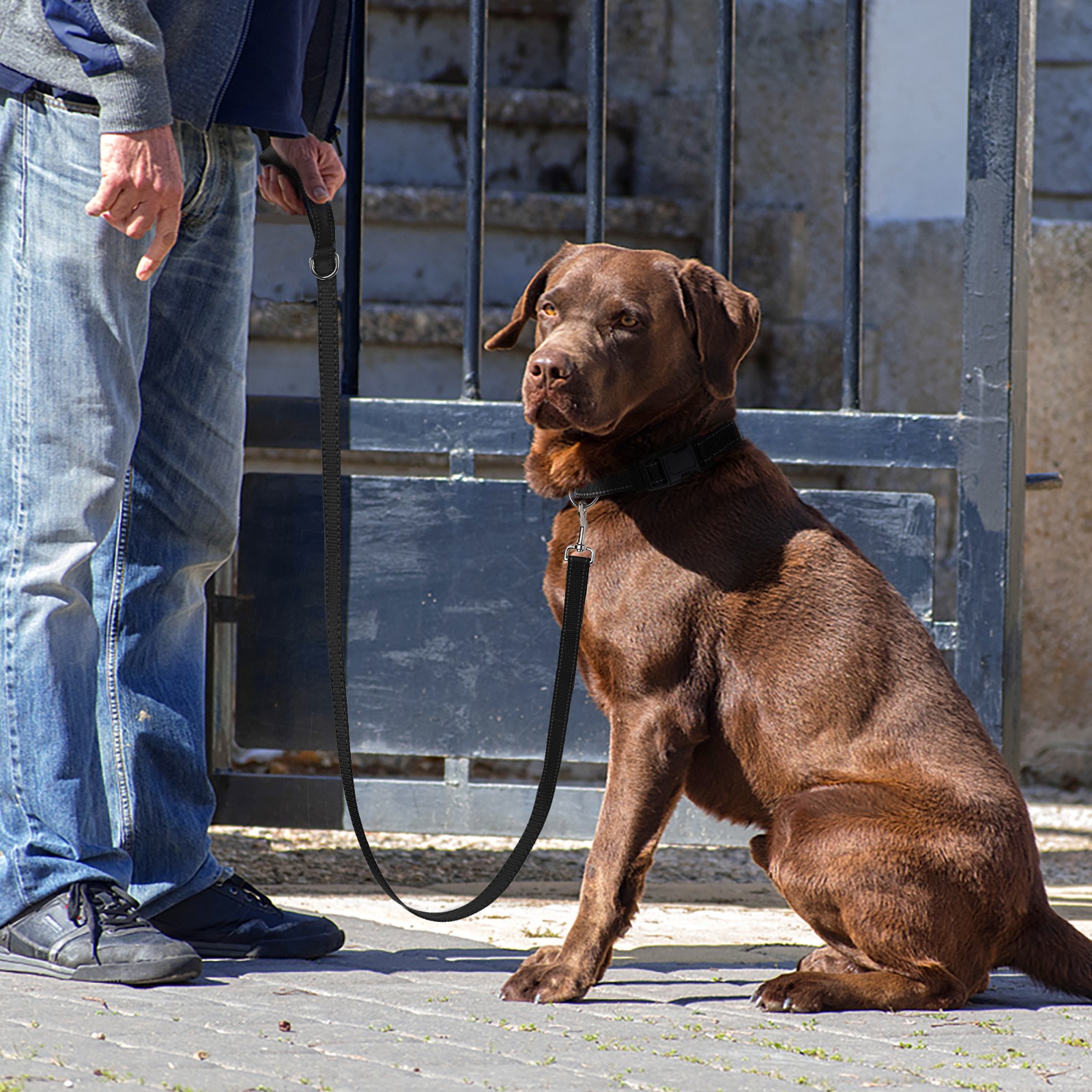 JOYTALE Dog Leash Durable Nylon Pet Rope Collar Set