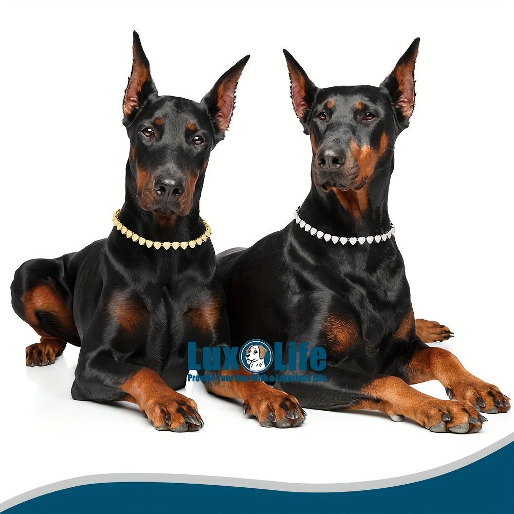 LUXLIFE Silvery Dog Chain Collar