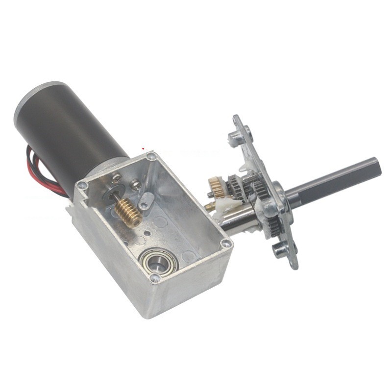 Worm Gear Motor
