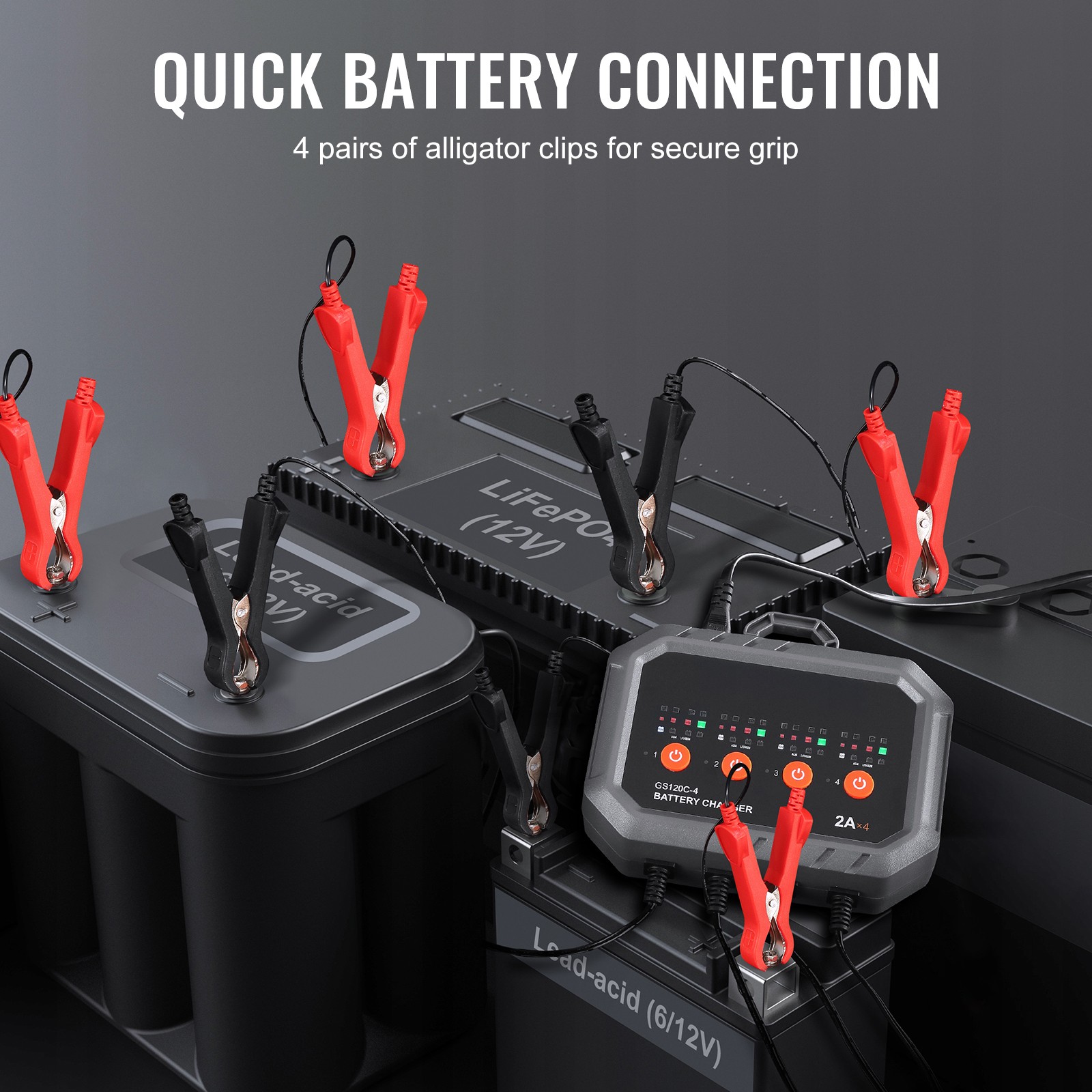 LiFePO4 Battery Charger