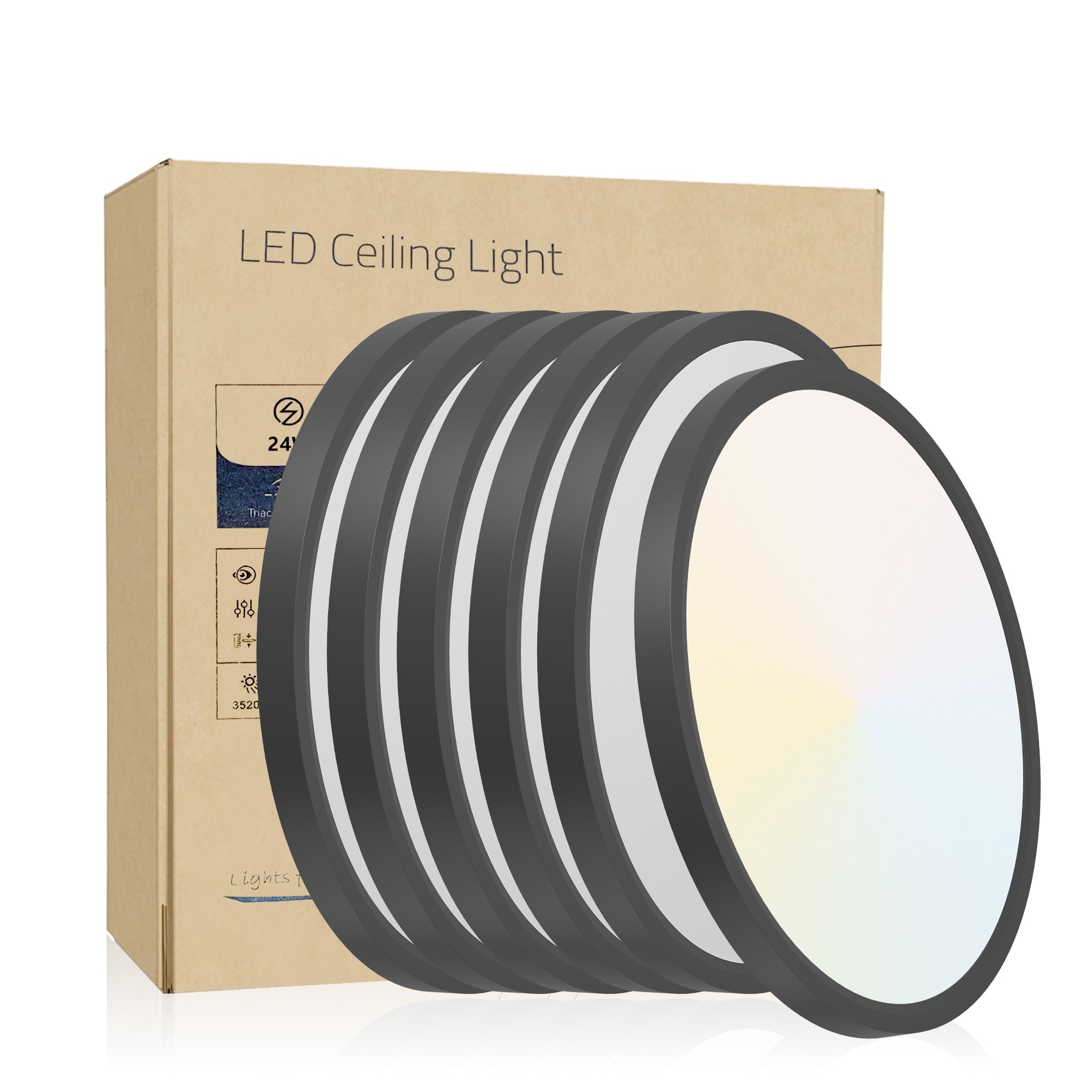 LED Flush Mount Light