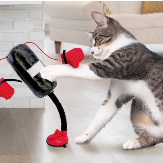 Cat Punching Bag Toy
