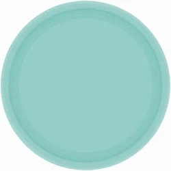 Paper Plates 23cm Round 20CT - Robin's Egg Blue  - Pack of 20