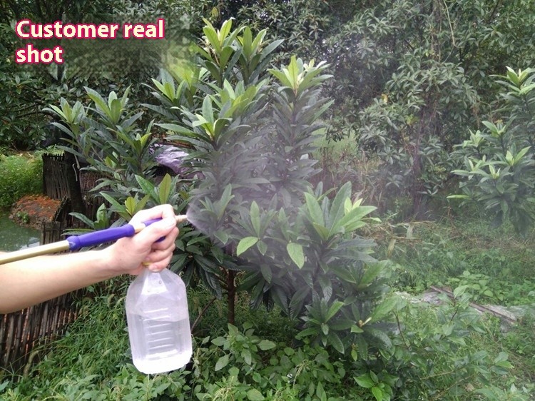 Handheld Garden Pump Sprayer