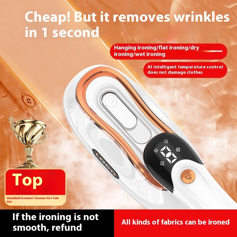 Professional Mini Steam Iron