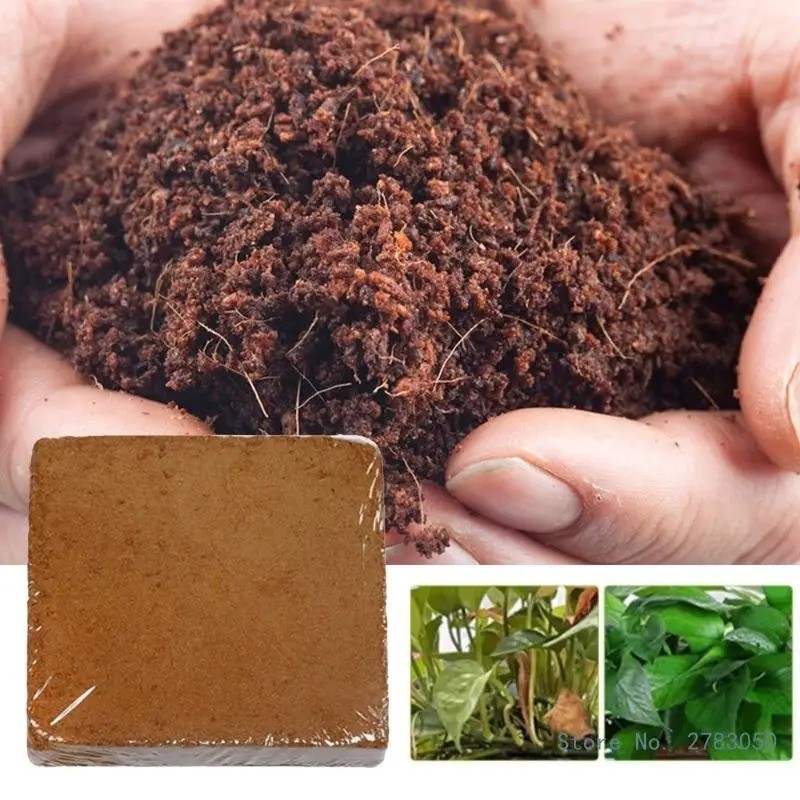 Seed Meal Fertilizer for Plants