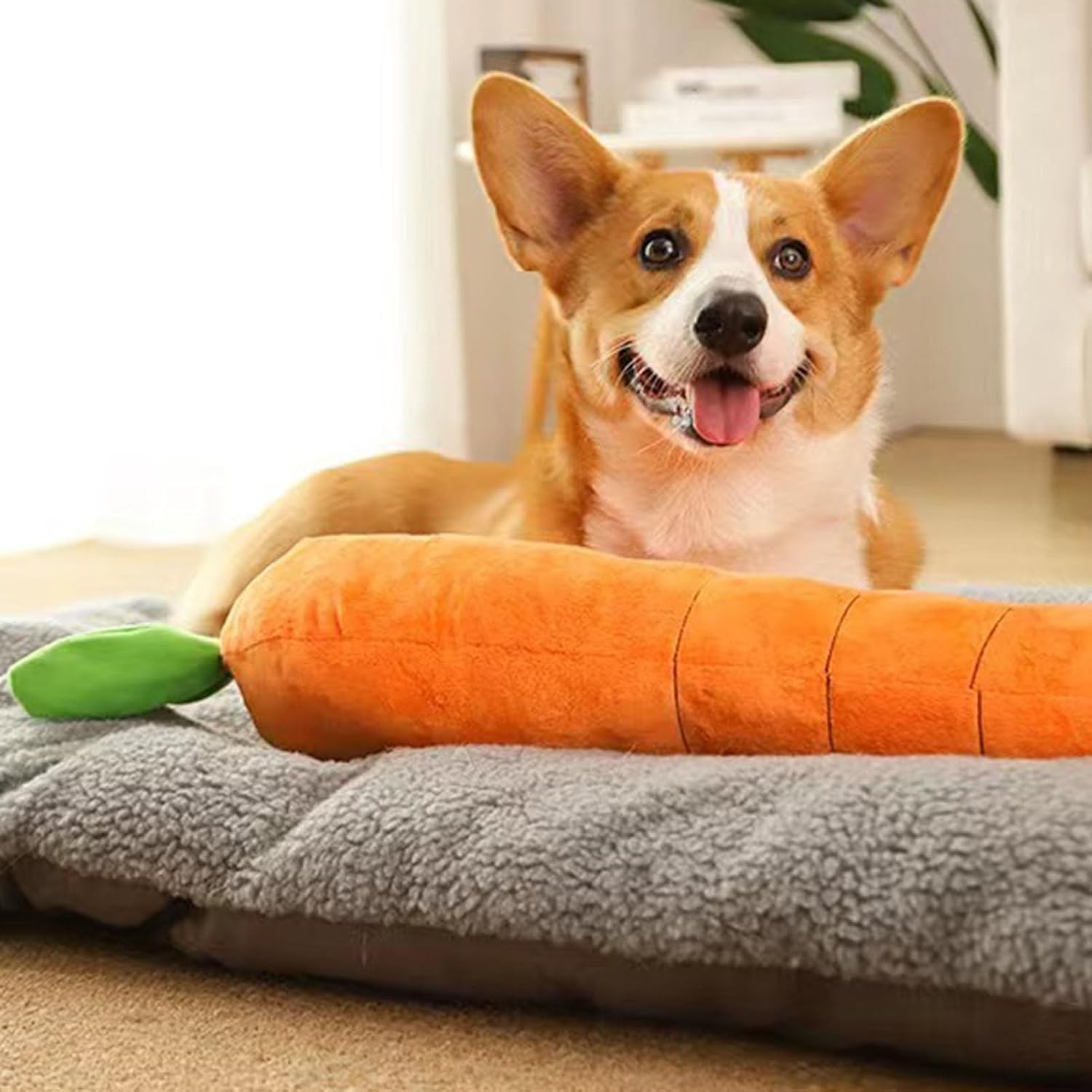Dog Calming Carrot