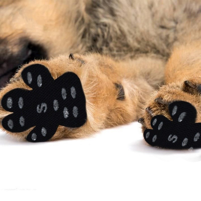 Dog Paw Anti-Slip and Heat Protection