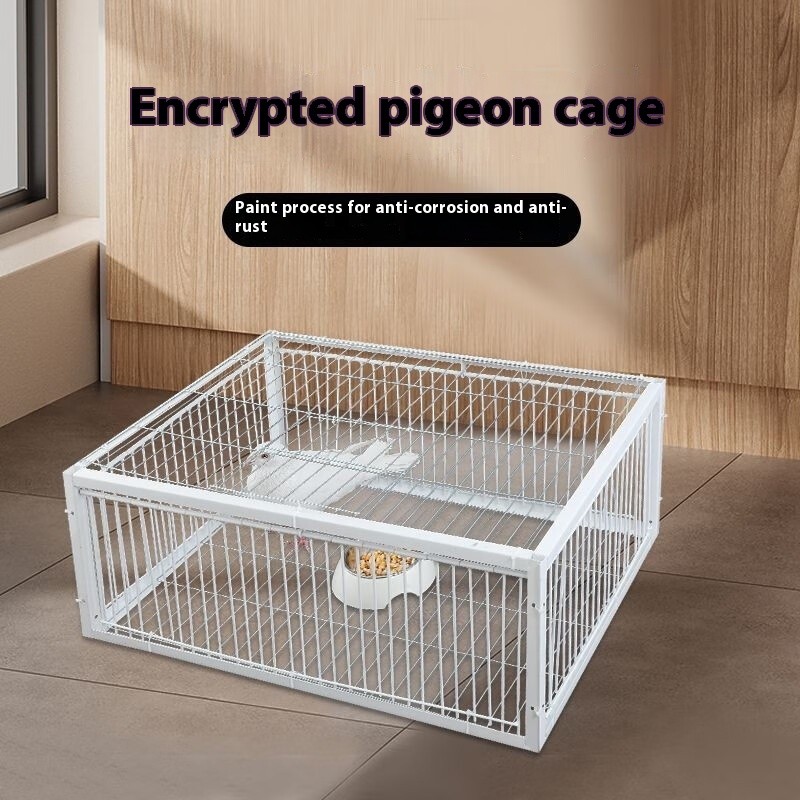 Pigeon Traps