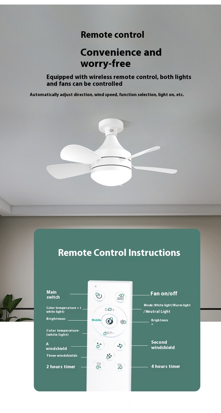 Socket Ceiling Fan Light