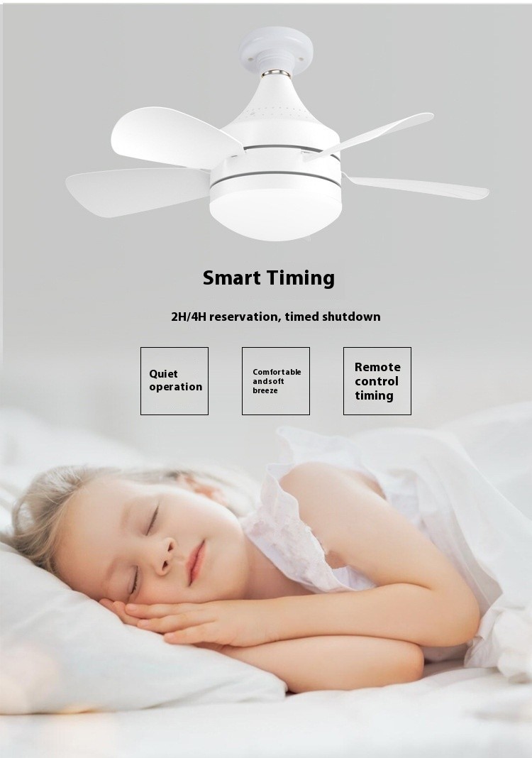 Socket Ceiling Fan Light