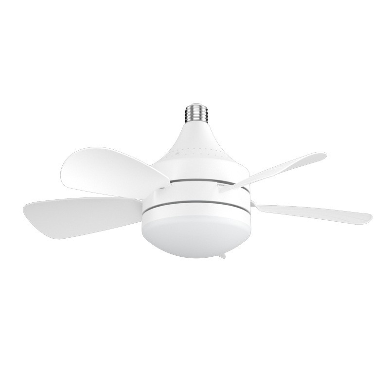Socket Ceiling Fan Light