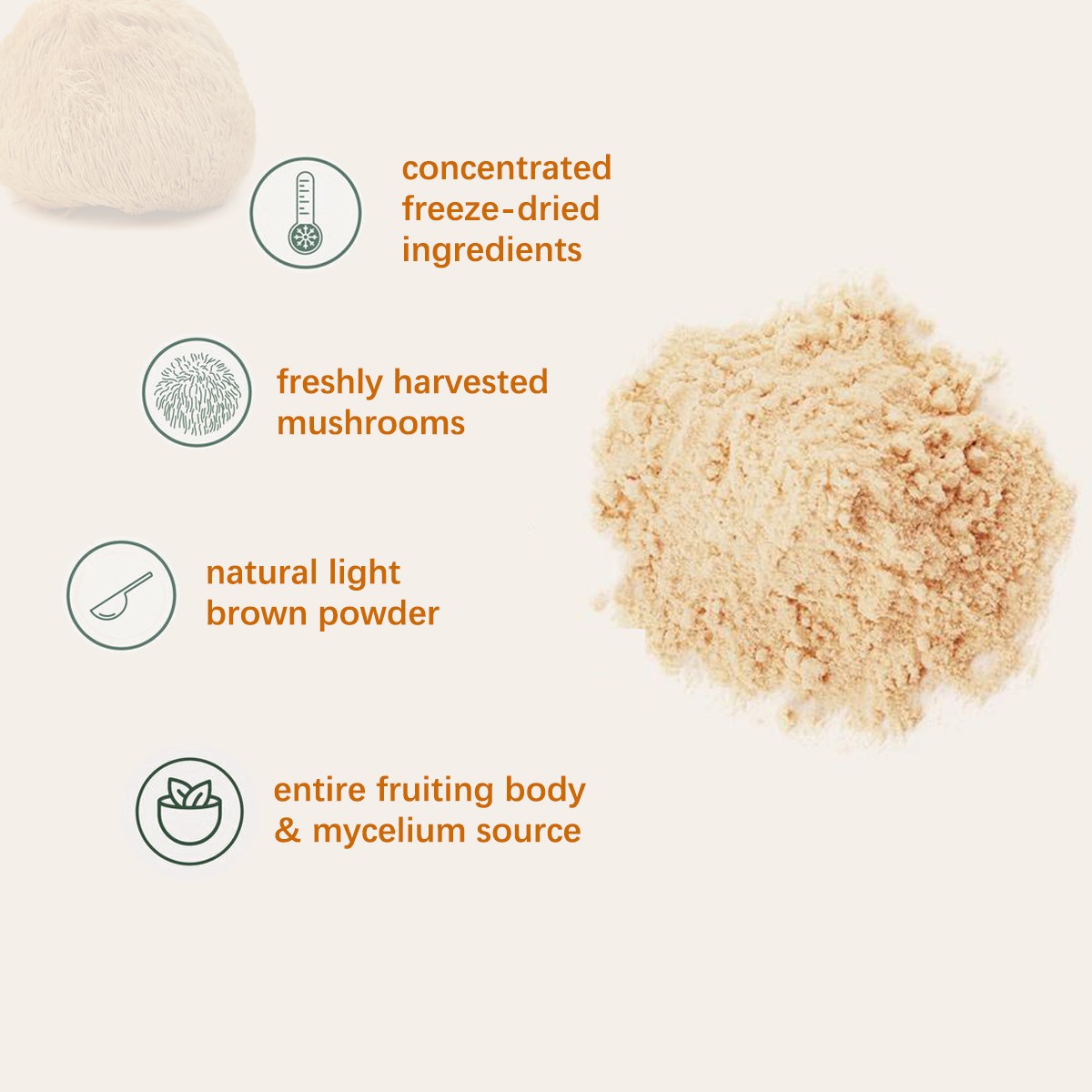 Lions Mane Powder  Organic Brain & Nerve Health Support