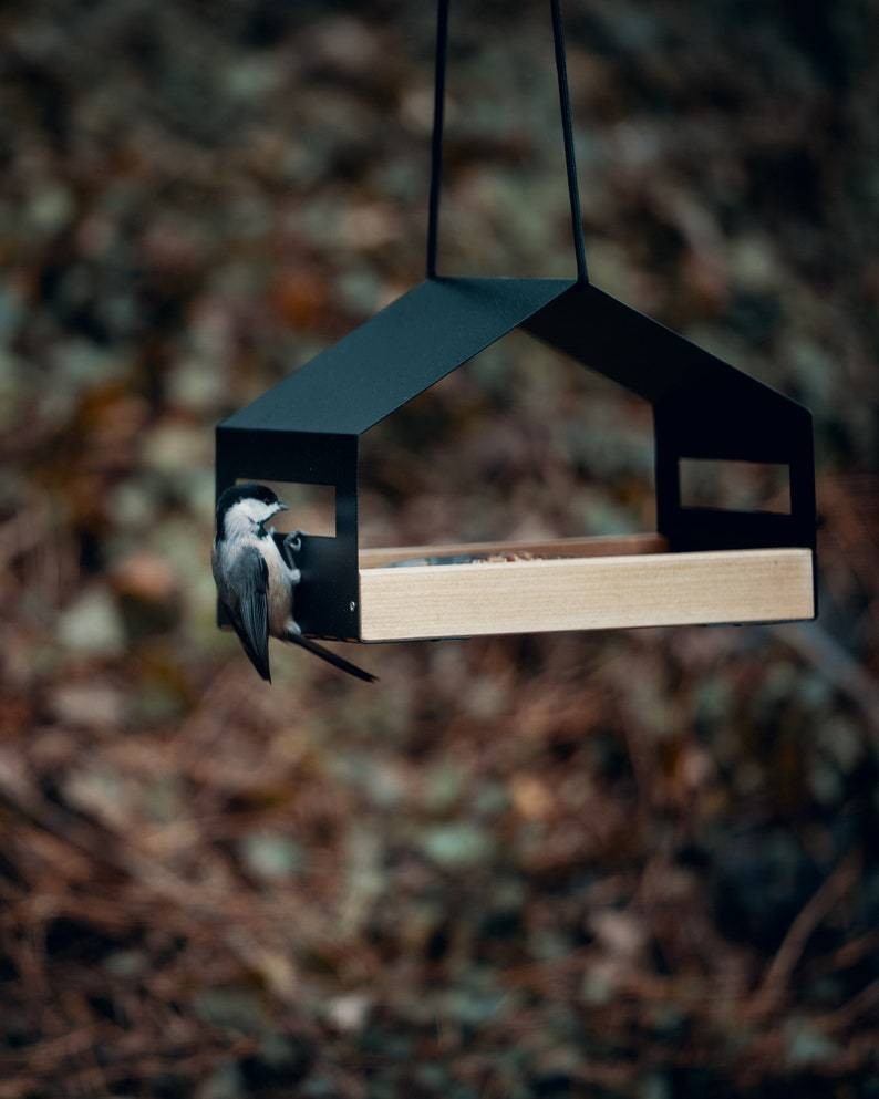 Hanging Bird Feeder for Garden with Roof