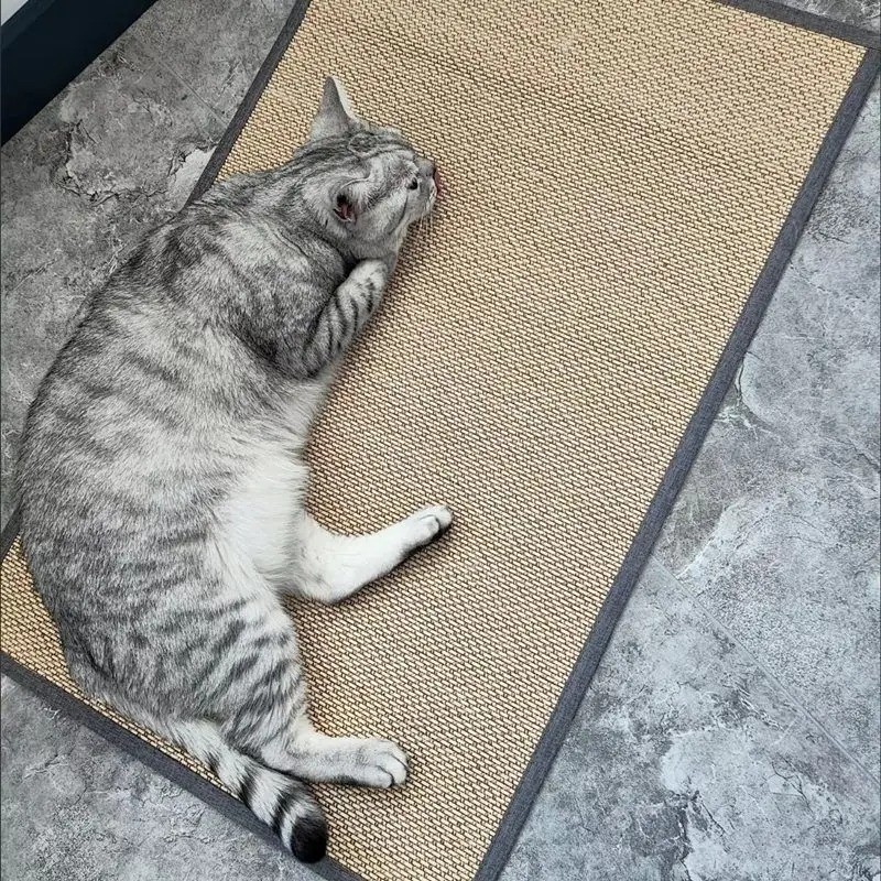 Carpet Cat Scratching