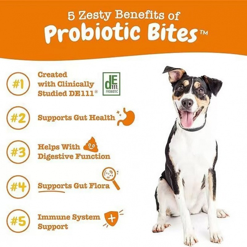 Probiotic Bites for Dogs Daily Digestive & Gut Health Support
