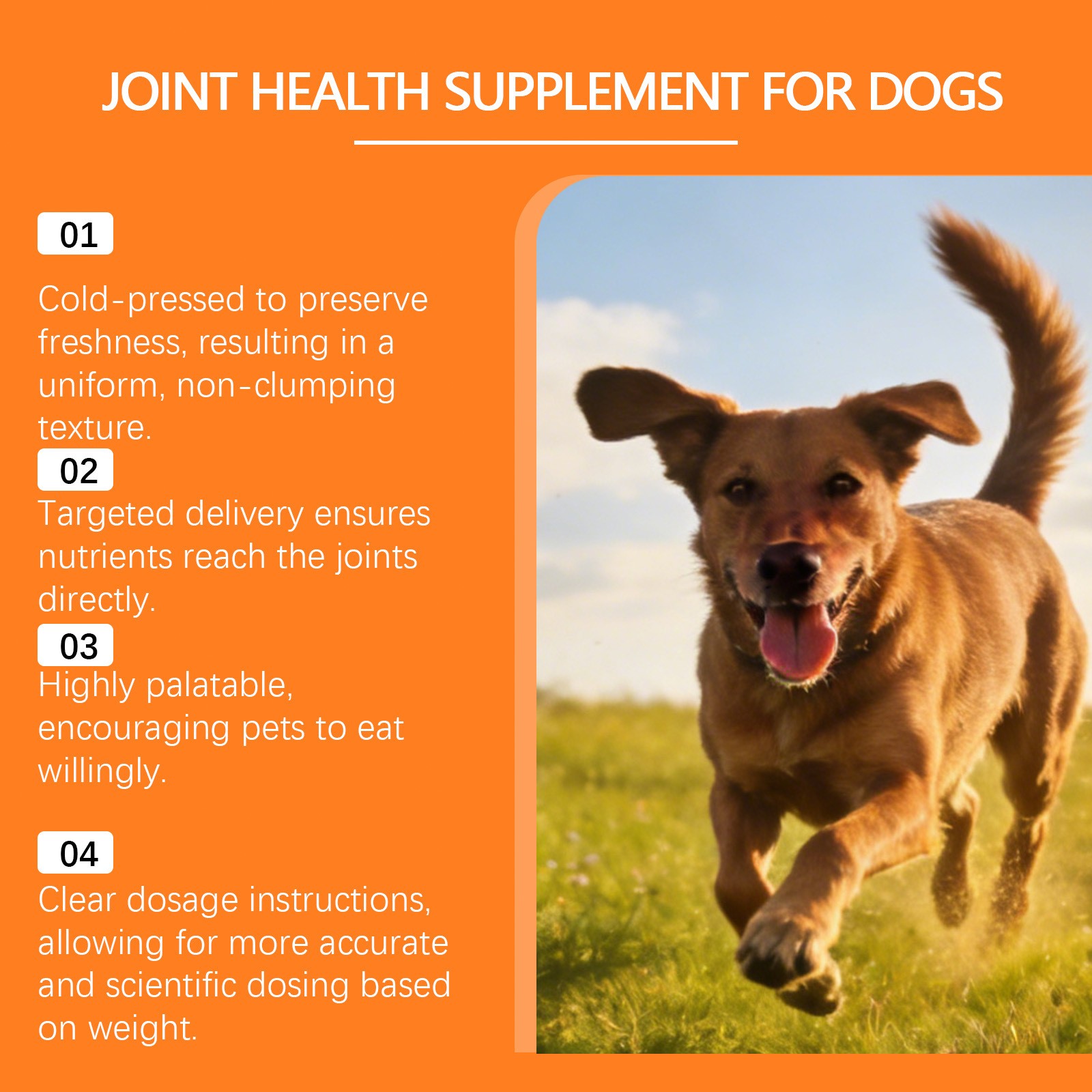 Dog Joint Health Supplement