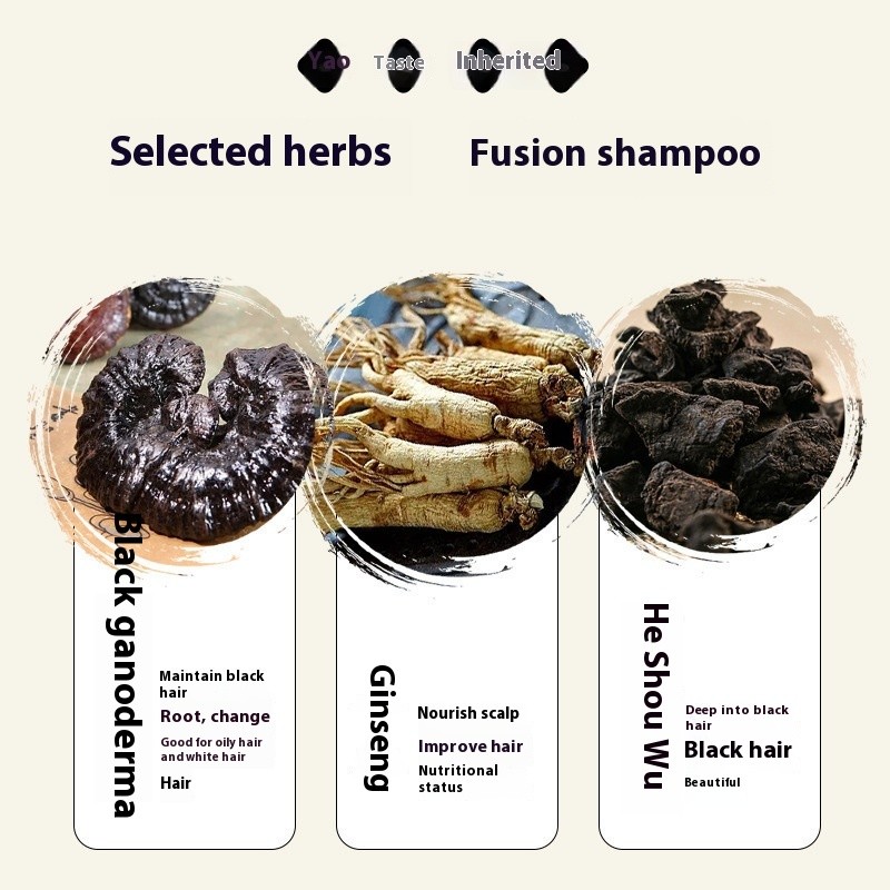 Ginger Anti-hair Loss Hair Shampoo