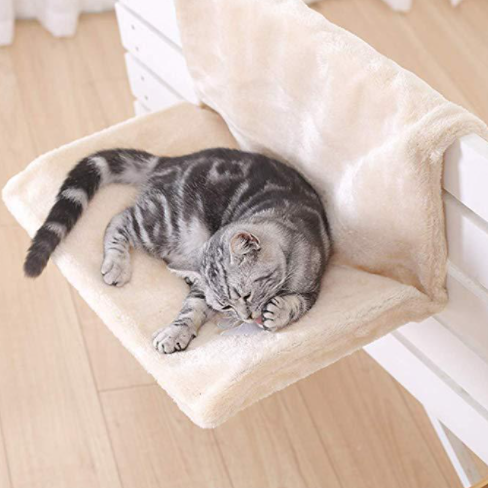 Iron Frame Cat Bed