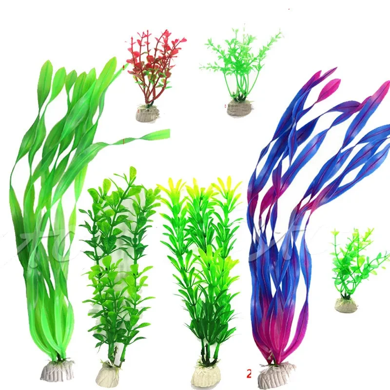 Aquarium Plants NZ