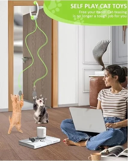 Indoor Interactive Cat Toy