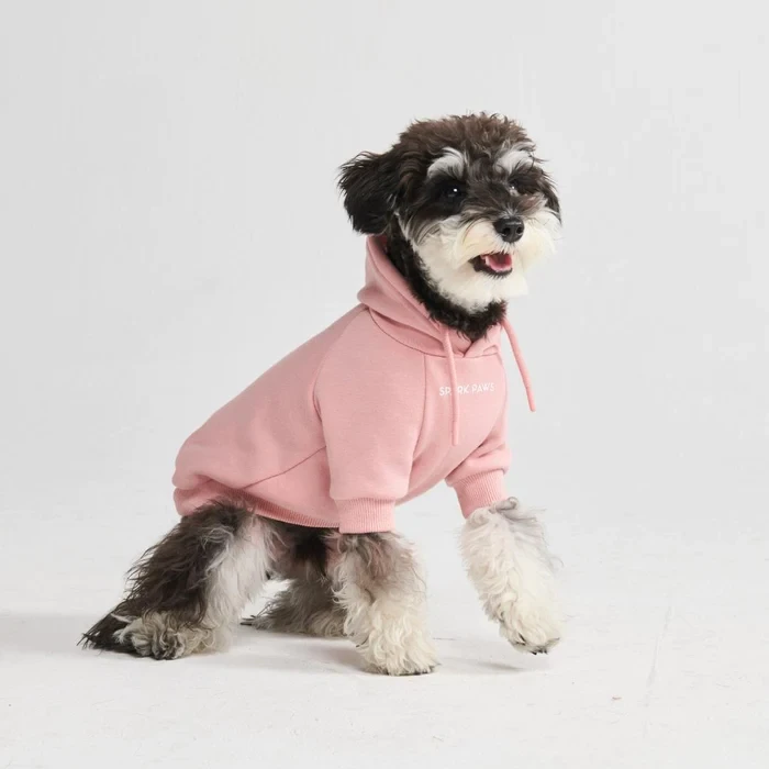 Essential Dog Hoodie