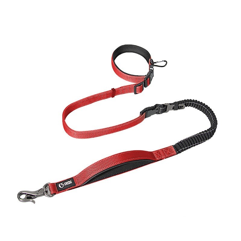 Roamer Bungee Dog Leash Stretch Webbing Hands-Free Leash