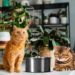 The KittySpout TwinFlow Fountain