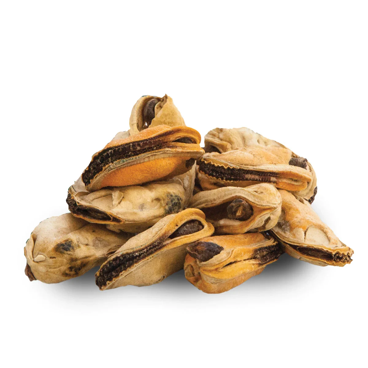 Freeze-dried Australia Green-Lipped Mussel dog treats