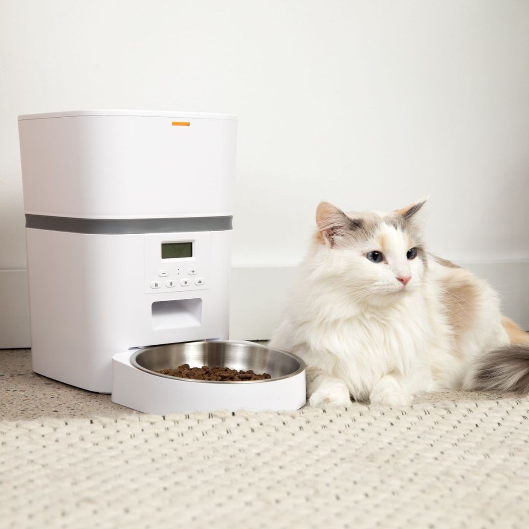 The KittyFeeder Automatic Cat Feeder