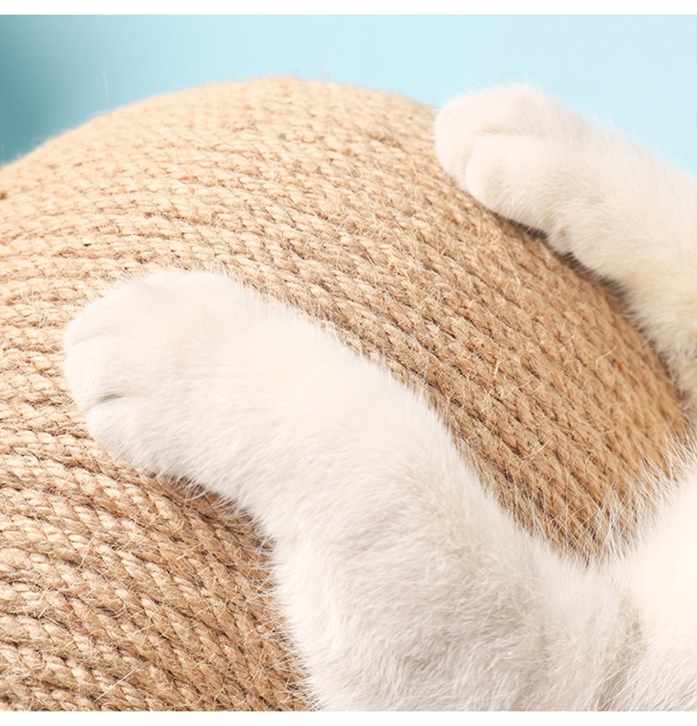 Multifunctional Cat Toy