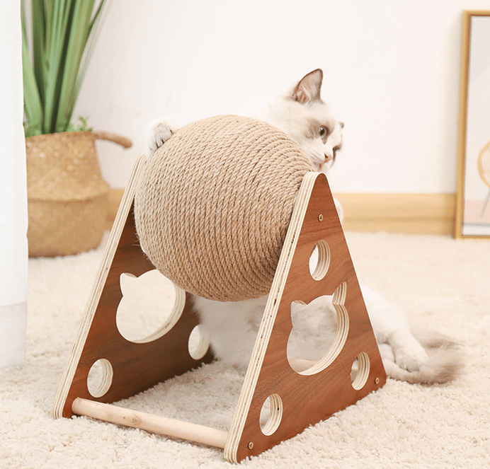 Multifunctional Cat Toy