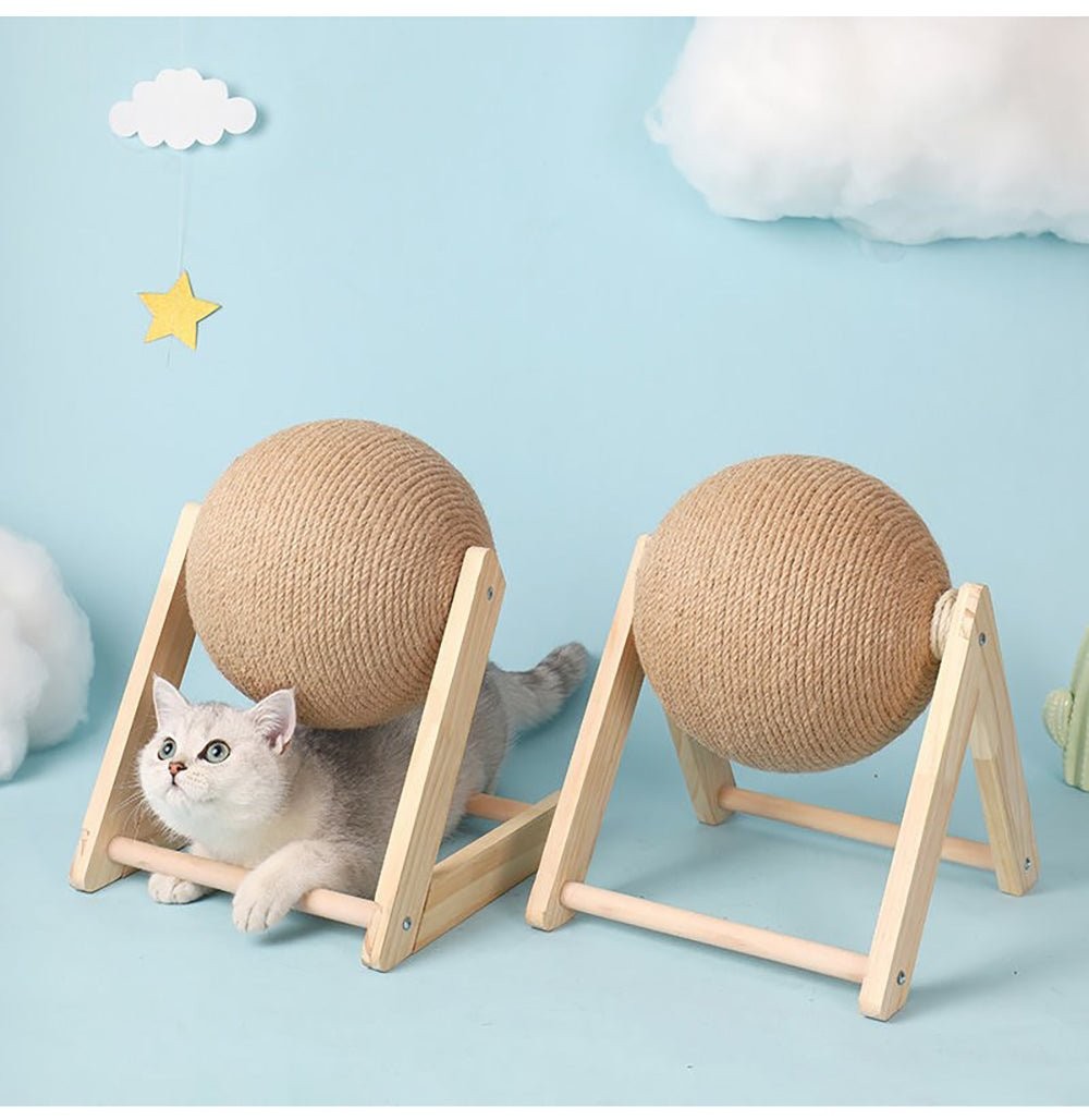 Multifunctional Cat Toy