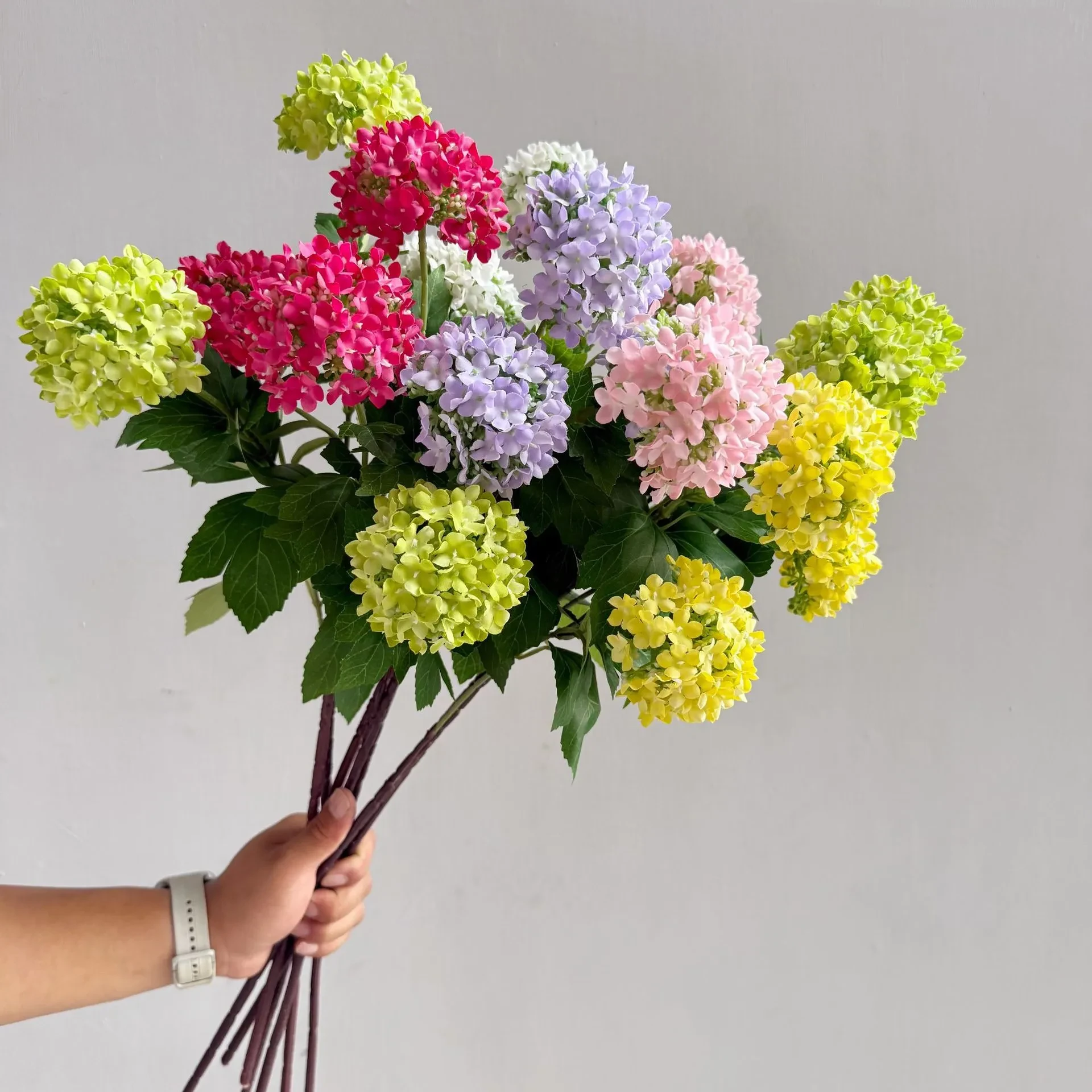 Flowers Hydrangeas SnowballsSmall Home Furnishings