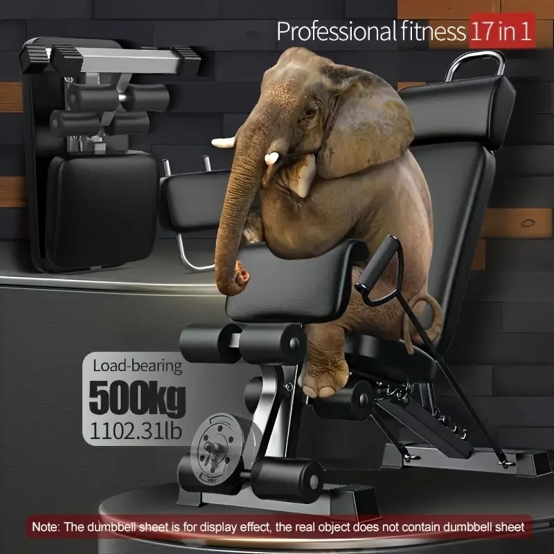 ADKING 17-in-1 Dumbbell Bench Adjustable Home Gym Exercise Chair