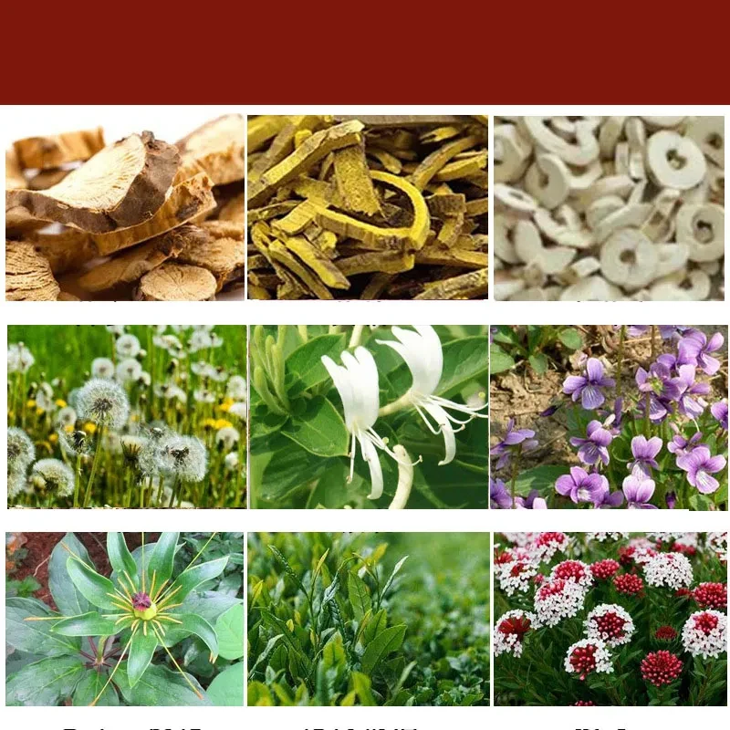 Smooth Sailing Tibetan  Pibao Special Care Skin For Joints