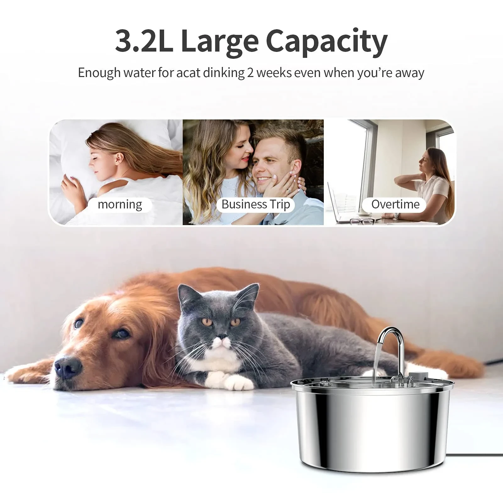 Stainless Steel Cat Water Fountain