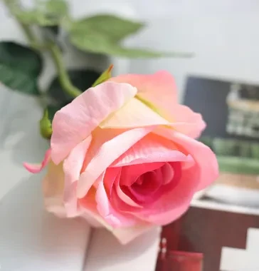 Roses Flower Beautiful Floral Arrangement For Wedding Bride Bouquet Home Decor