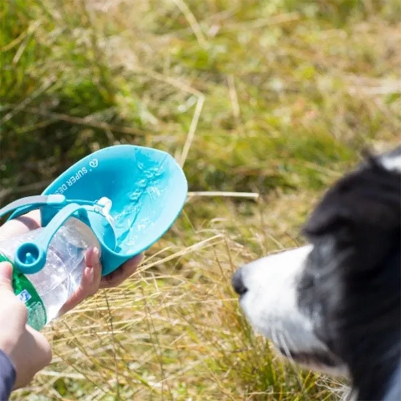 20 OZ Pet Water Bottle with Leaf Design
