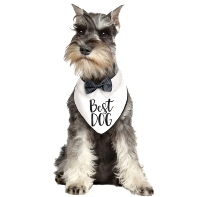 Wedding Bandana - Best Dog (36cm)