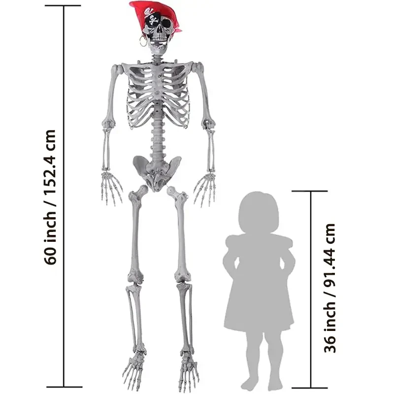 Halloween Decorations - 5 Ft Placeable Halloween Skeleton - Full Body Life-Size Skeleton Prop with Movable Joints for Halloween Outdoor Yard Haunted House Prop Decoration