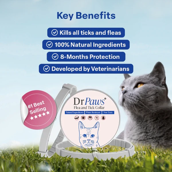 Dr Paws 8 Months Flea and Tick Free Cats