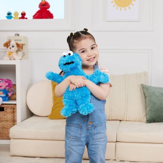 Sesame Street Cookie Monster Soft Toy