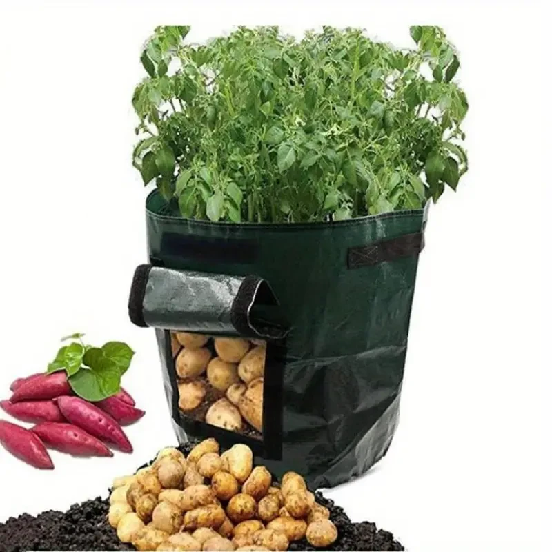 Plant Growth Bag - 37.85L Home Garden