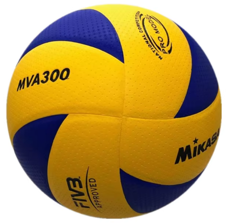 Outdoor No.5 Training Hard Indoor Volleyball