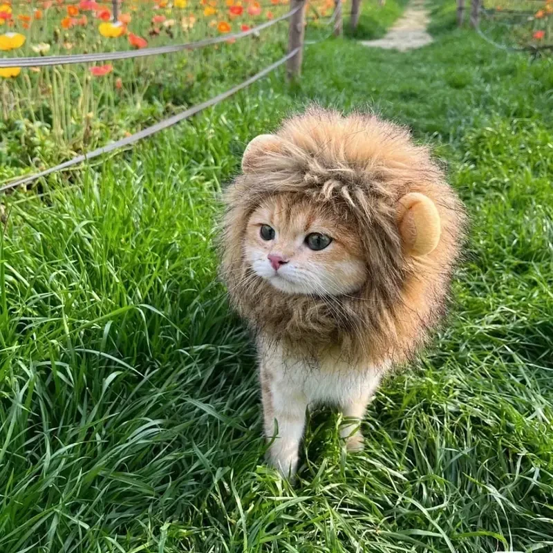 Adorable Lion Mane Costume for Cats  Durable and Comfy