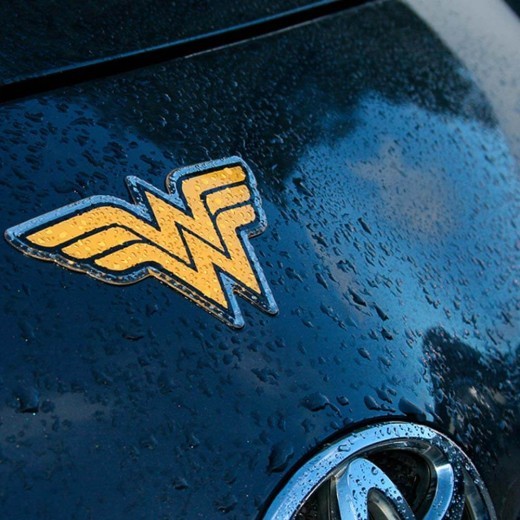 Fan Emblems DC Wonder Woman Logo Decal