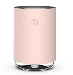 Night Light Humidifier Spray