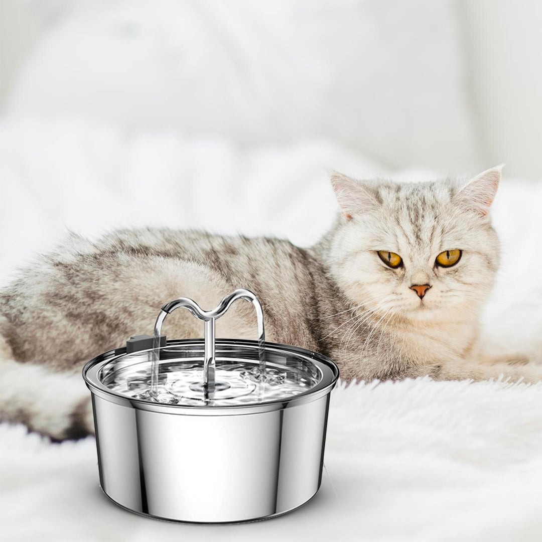 The KittySpout™ TwinFlow Fountain